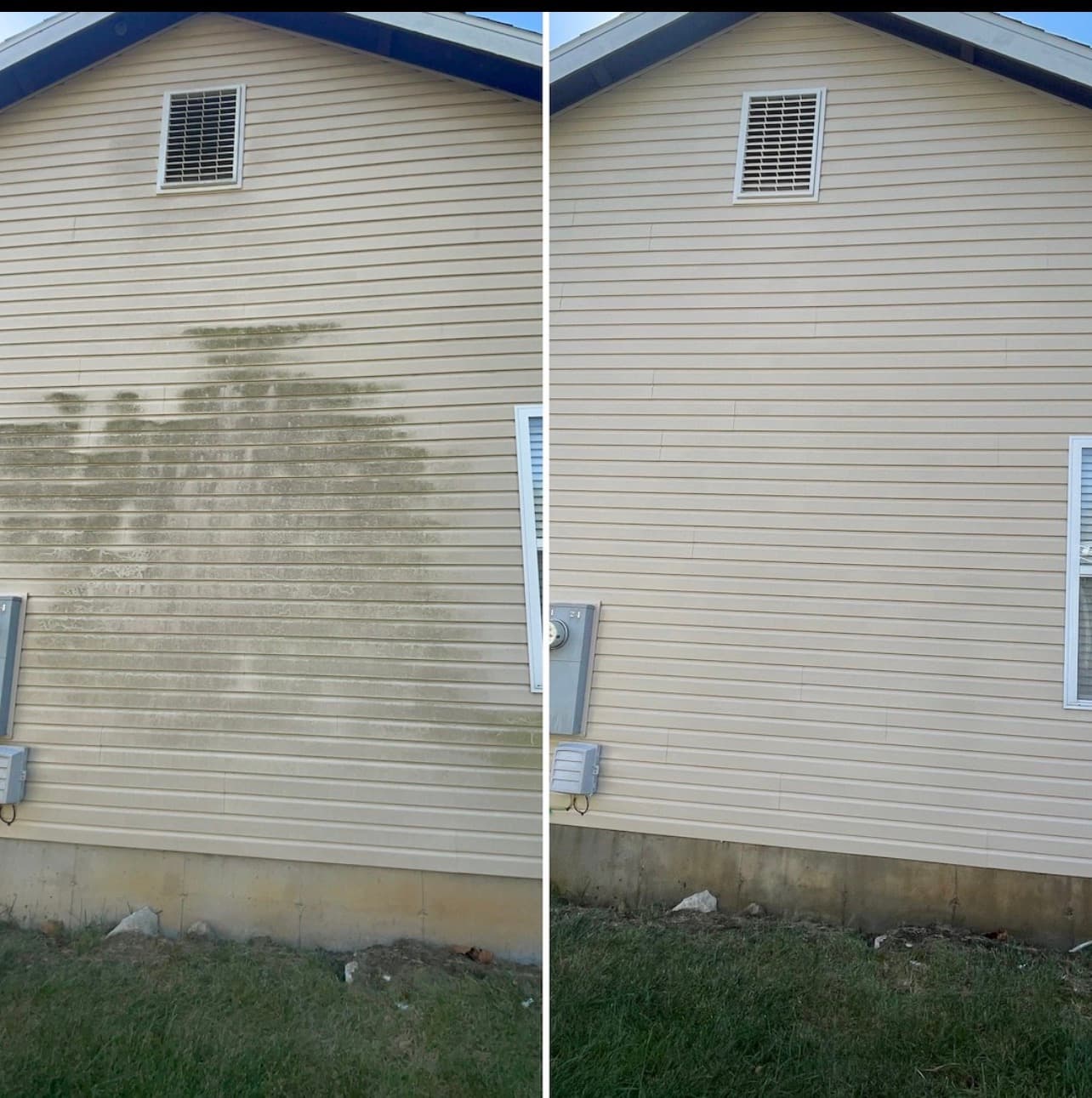 Before and after photos showing a tan vinyl house wall cleaned of green algae stains.