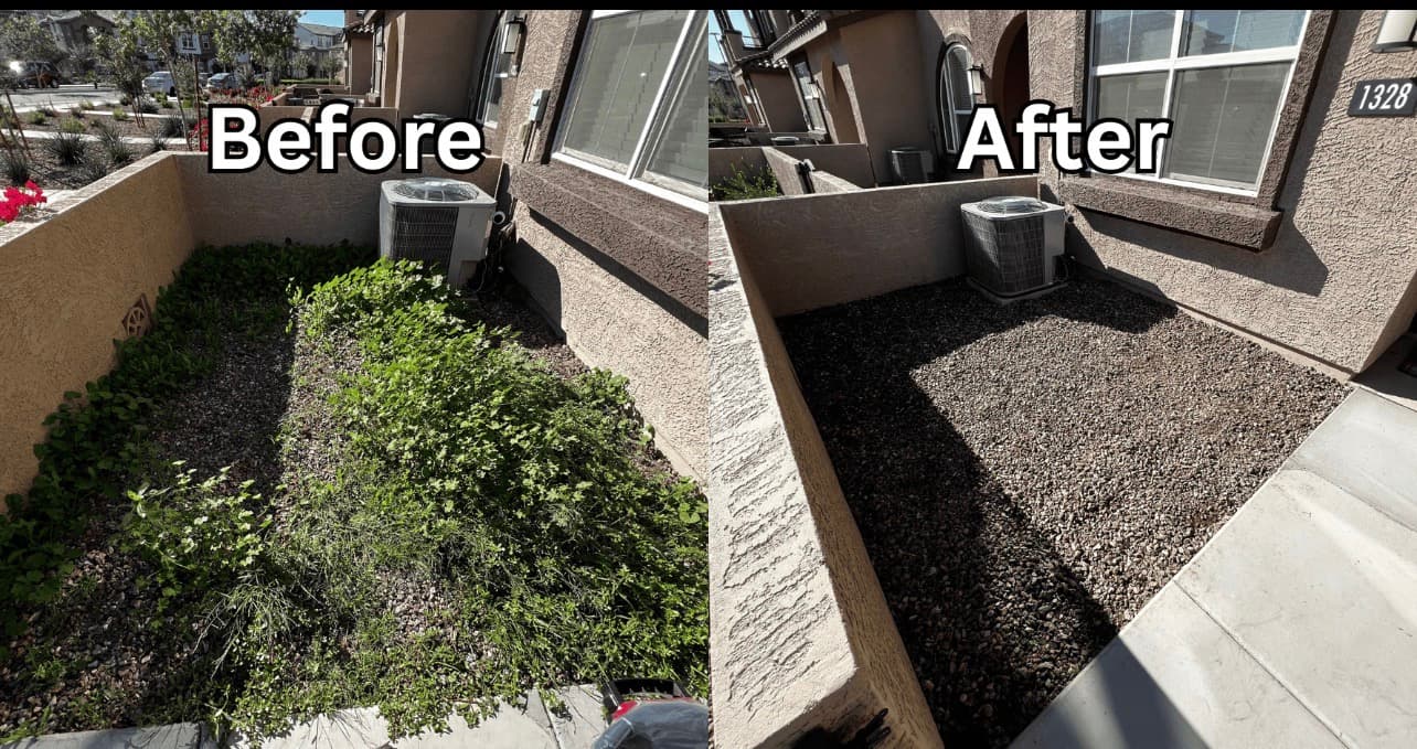 Before and after comparison of a gravel patio area cleared of thick, overgrown green weeds.